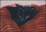 (image for) Snuggle Down
